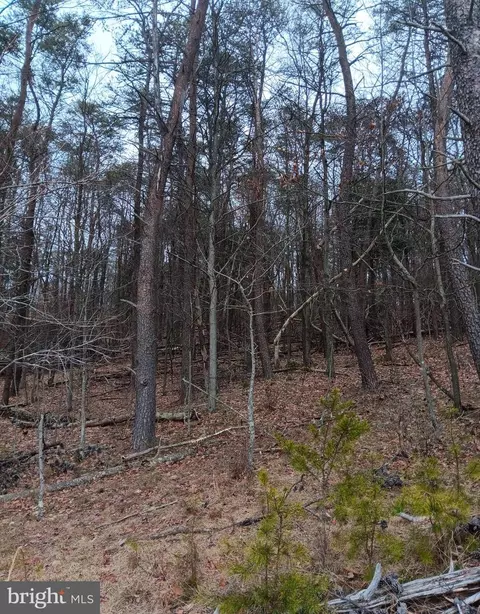 0 Bunker Hill Rd, Everett, PA 15537 photo 7