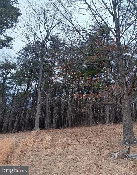 0 Bunker Hill Rd, Everett, PA 15537 photo 15