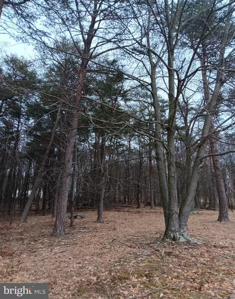 0 Bunker Hill Rd, Everett, PA 15537 photo 11