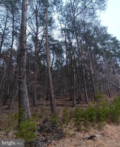 0 Bunker Hill Rd, Everett, PA 15537 photo 6