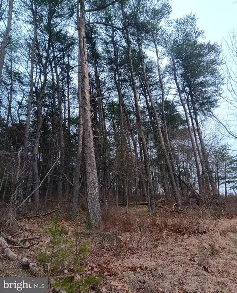 0 Bunker Hill Rd, Everett, PA 15537 photo 10