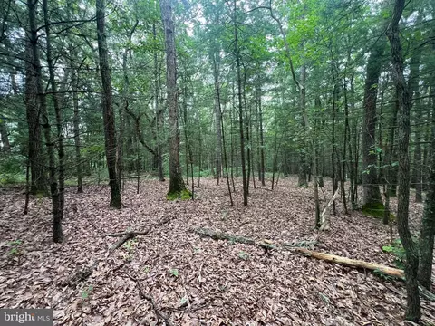 lot7 Robinsonville Rd, Clearville, PA 15535