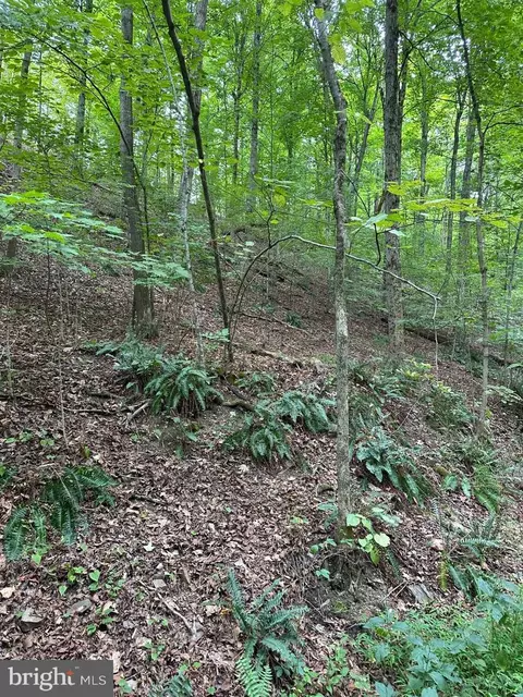 Off Reynoldsdale Road, New Paris, PA 15554