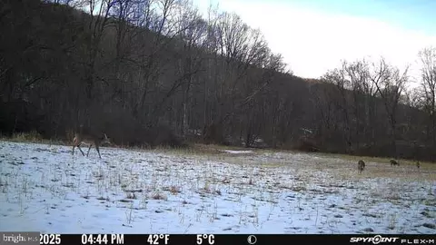Other - 300 Beegle Rd, Everett, PA 15537 photo 39 of 53