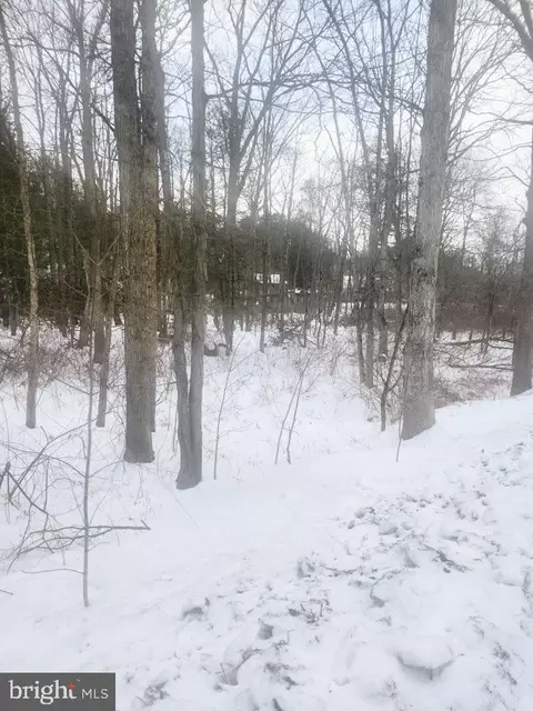 Brush Creek Road, Breezewood, PA 15533