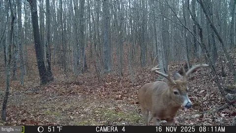 Other - 3402 Elk Lick Rd, Everett, PA 15537 photo 31 of 32