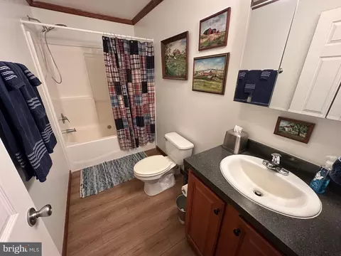 Bath - 3402 Elk Lick Rd, Everett, PA 15537 photo 7 of 8