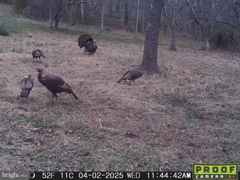 Other - 3402 Elk Lick Rd, Everett, PA 15537 photo 30 of 32
