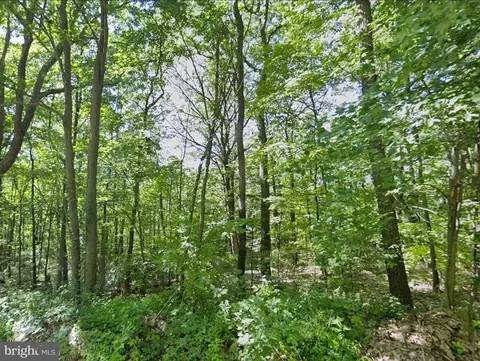 00 Weavers Wood Rd, Saxton, PA 16678