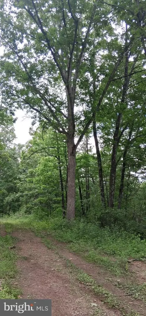 Other - 234 Coastline Rd, Everett, PA 15537 photo 14 of 28