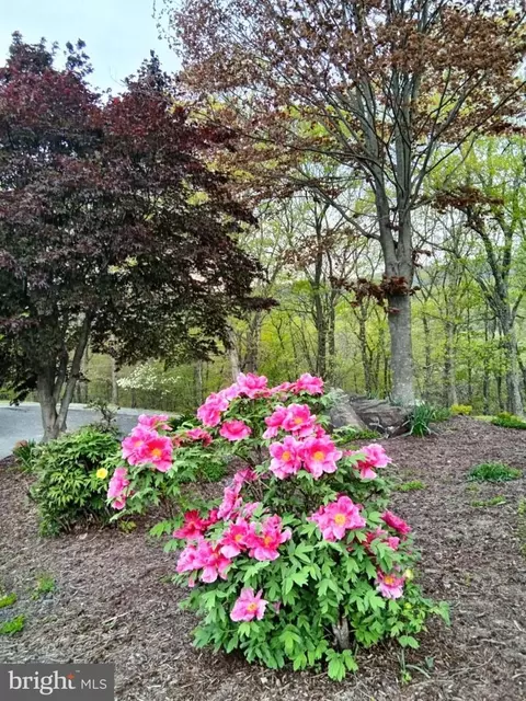 Other - 495 Ritchey Rd SE, Everett, PA 15537 photo 21 of 21