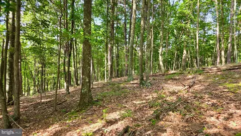 Mosquito Road, Six Mile Run, PA 16679