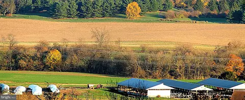 546 Kulps Rd, Barto, PA 19504 photo 75