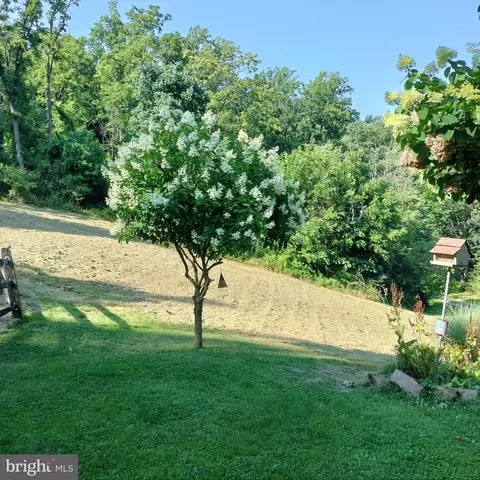 546 Kulps Rd, Barto, PA 19504 photo 82