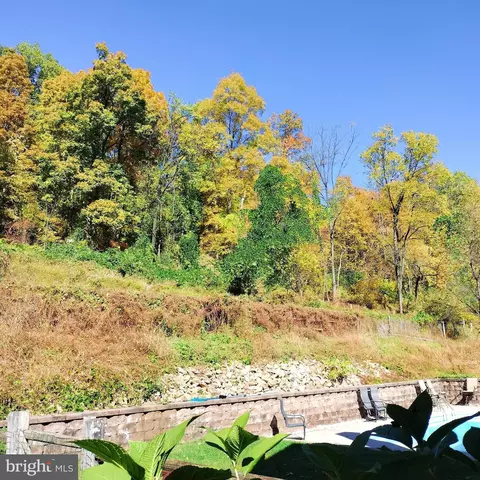 546 Kulps Rd, Barto, PA 19504 photo 89