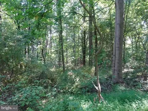 2291 Morgantown Rd, Reading, PA 19607 photo 63