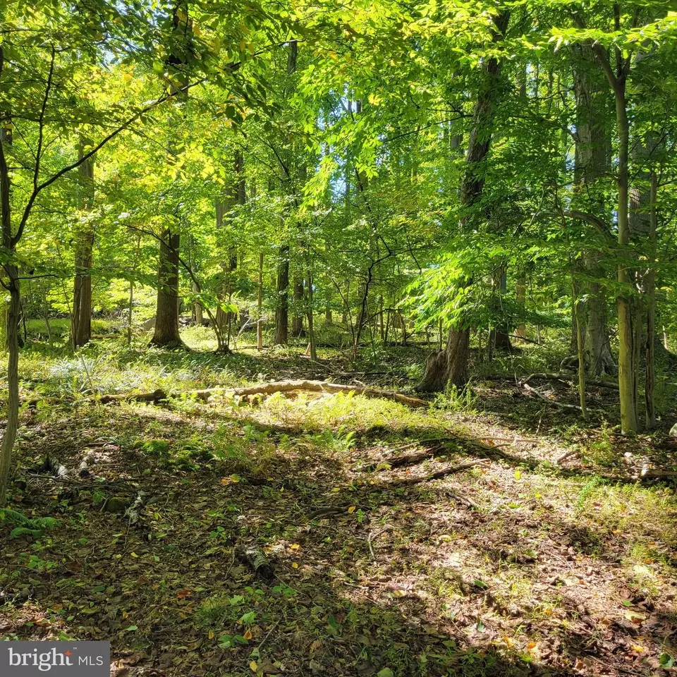  235 Treichler Rd, Alburtis, PA 18011 photo 48