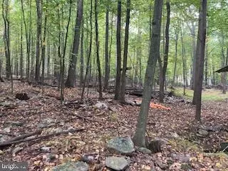 Old Mountain Road, Bethel, PA 19507