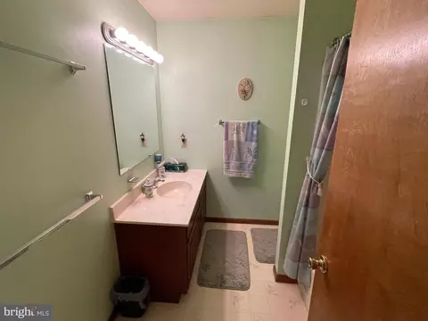 208 Sage Dr, Reading, PA 19608 photo 49