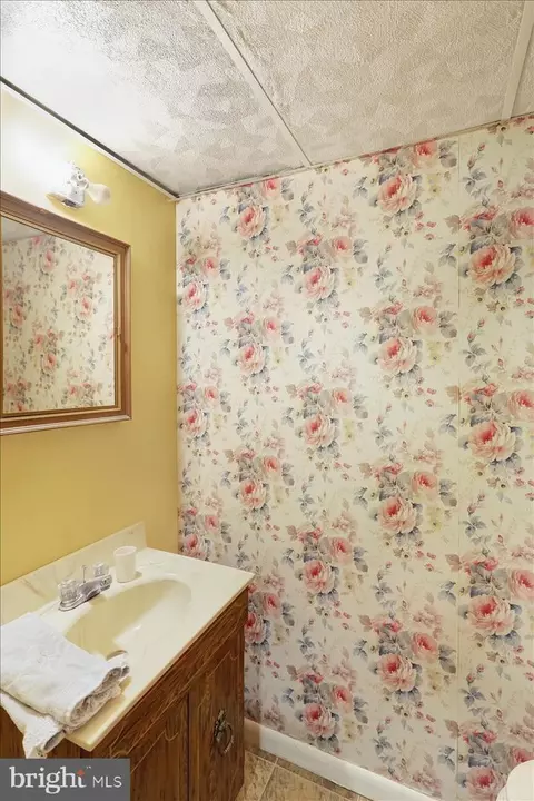 Bath - 228 Wexham Dr, Reading, PA 19607 photo 3 of 3
