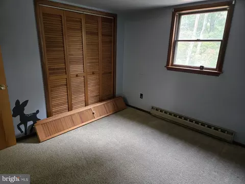 73 Old Company Rd, Barto, PA 19504 photo 22