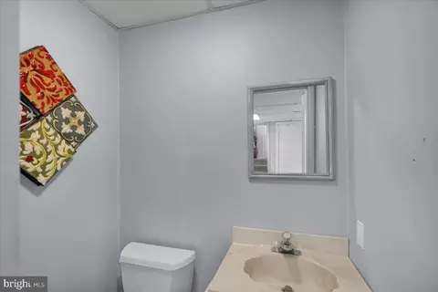 164 Butternut Ct, Reading, PA 19608 photo 20