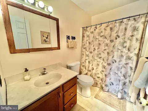 19 Warwick Ct, Reading, PA 19606 photo 26