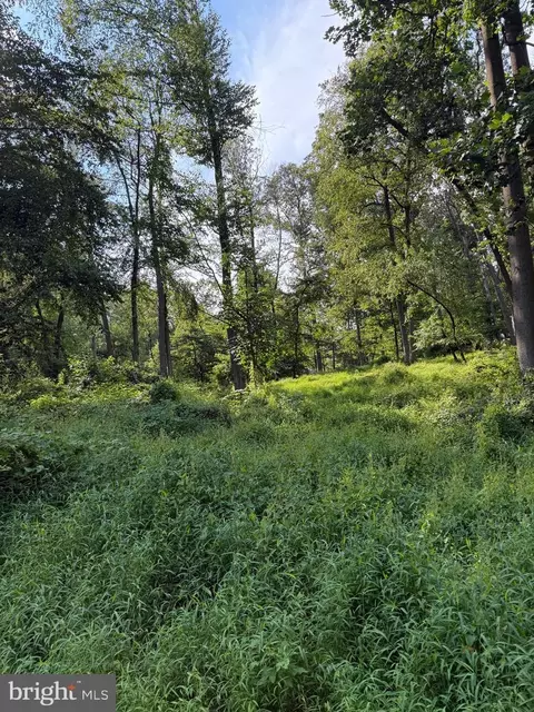 Cushion Peak Road, Wernersville, PA 19565