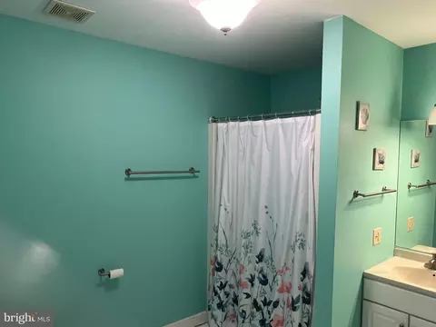 Bath - 1 Overview Ct, Reading, PA 19607 photo 3 of 5