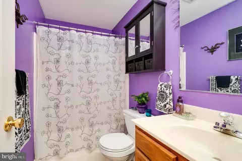 Bath - 431 E Augusta Dr, Sinking Spring, PA 19608 photo 3 of 3