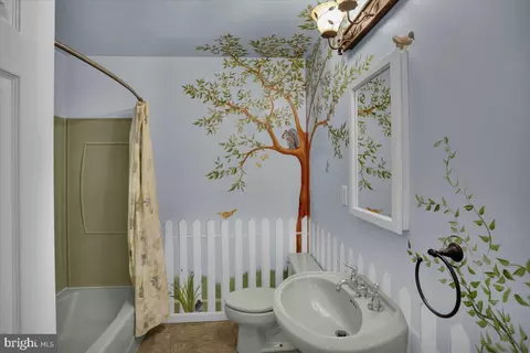 Bath - 209 Pembroke Dr, Reading, PA 19607 photo 4 of 5
