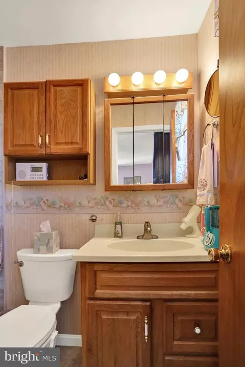 Bath - 4110 Danor Dr, Reading, PA 19605 photo 3 of 4