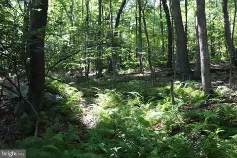 lot312 Ridge Run, Claysburg, PA 16625