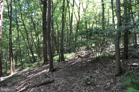 lot319 Ridge Run, Claysburg, PA 16625