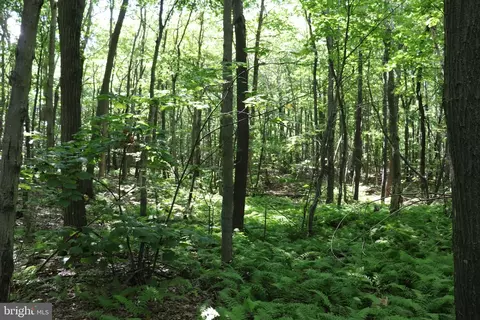lot186 Smokey Run, Claysburg, PA 16625