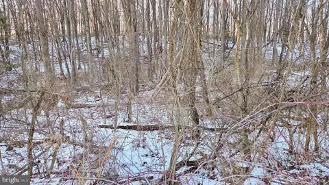 Foxglove Road, Altoona, PA 16601