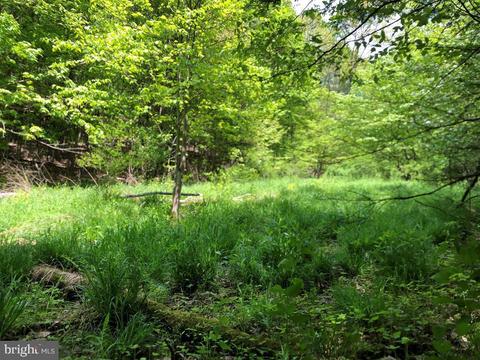0 Gypsy Camp Holw, Tyrone, PA 16686