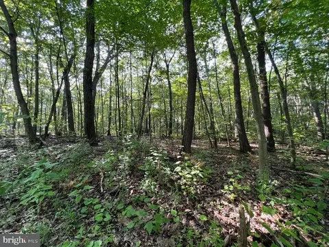 117 118 Kittanning Run, Claysburg, PA 16625