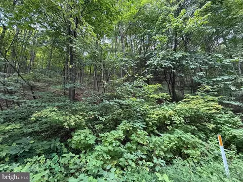 lot20 Kittanning Run, Claysburg, PA 16625