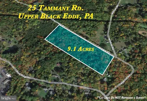 26 Tammany Rd, Upper Black Eddy, PA 18972