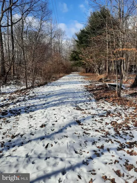 214 Perry Auger Rd, Black Eddy, PA 18972