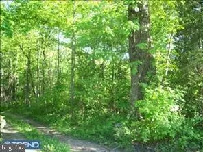 0 Tammany Rd, Black Eddy, PA 18972