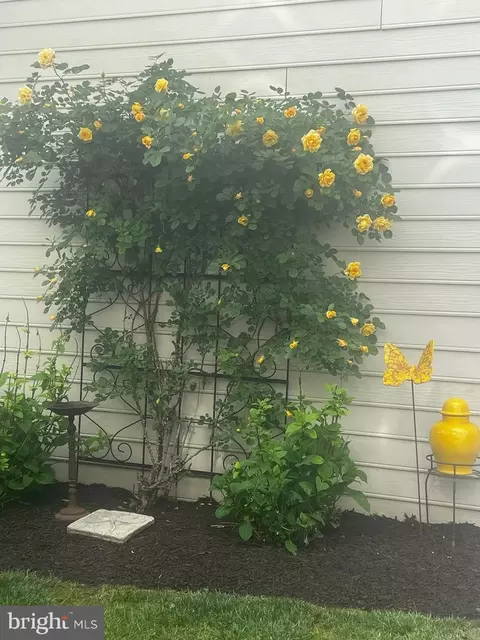 Exterior - 13 Doyle St, Doylestown, PA 18901 photo 5 of 5