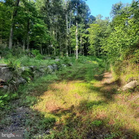 5968 State Park Rd, Pipersville, PA 18947