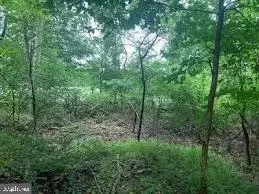 0 Lonely Cottage Rd, Black Eddy, PA 18972