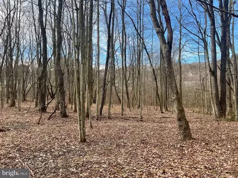 0 Iceplant Rd, Loretto, PA 15940 photo 6