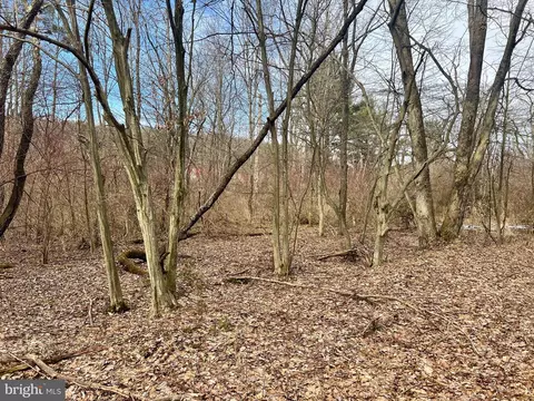 0 Iceplant Rd, Loretto, PA 15940 photo 5