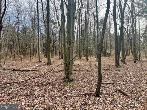 0 Iceplant Rd, Loretto, PA 15940 photo 8