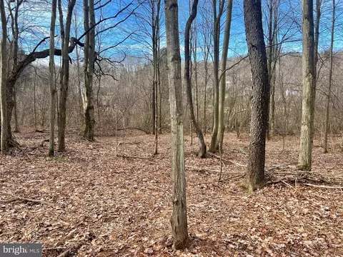 0 Iceplant Rd, Loretto, PA 15940 photo 9