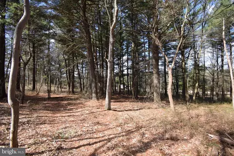 Wintergreen Road, Palmerton, PA 18071
